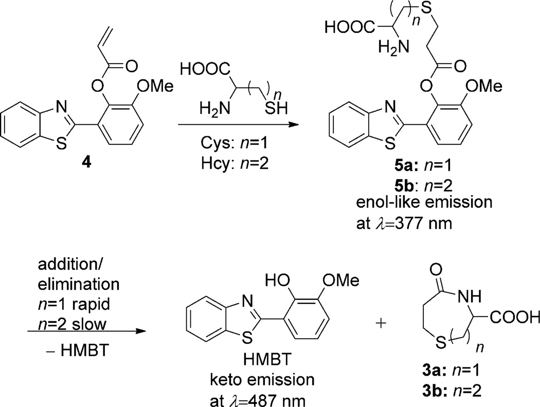 Scheme 2