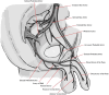 Fig 3