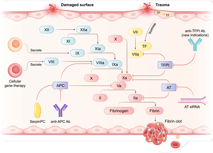 Figure 4