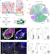 Fig. 4 |