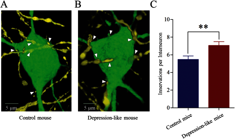 Figure 6.