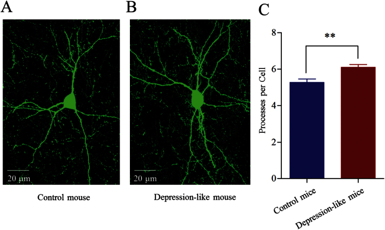 Figure 7.