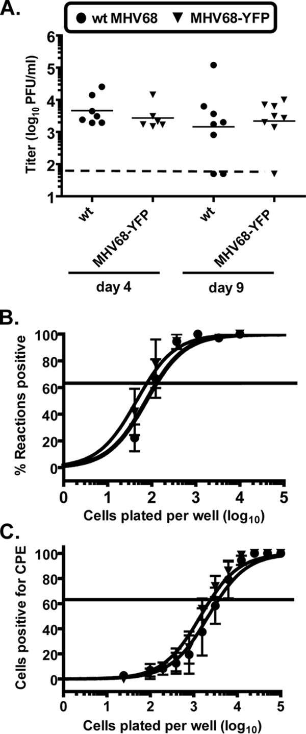 FIG. 2.