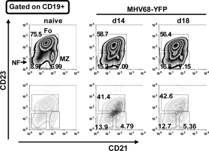 FIG. 4.