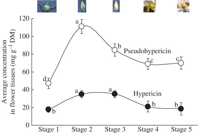 Fig. 13.