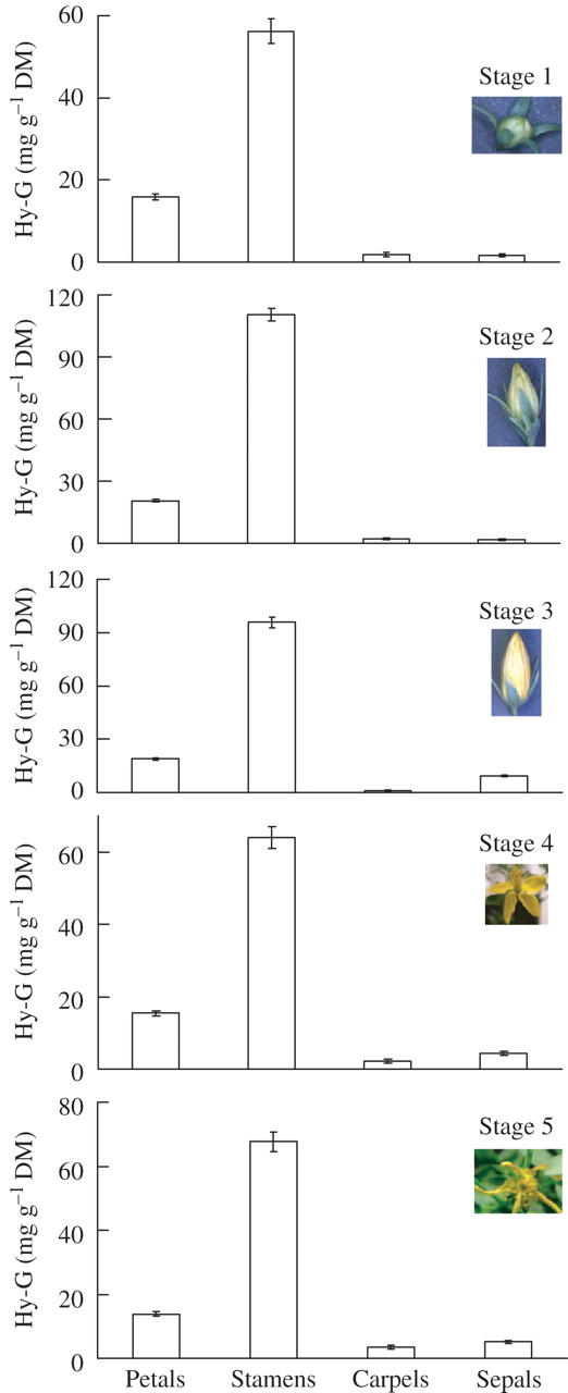 Fig. 12.