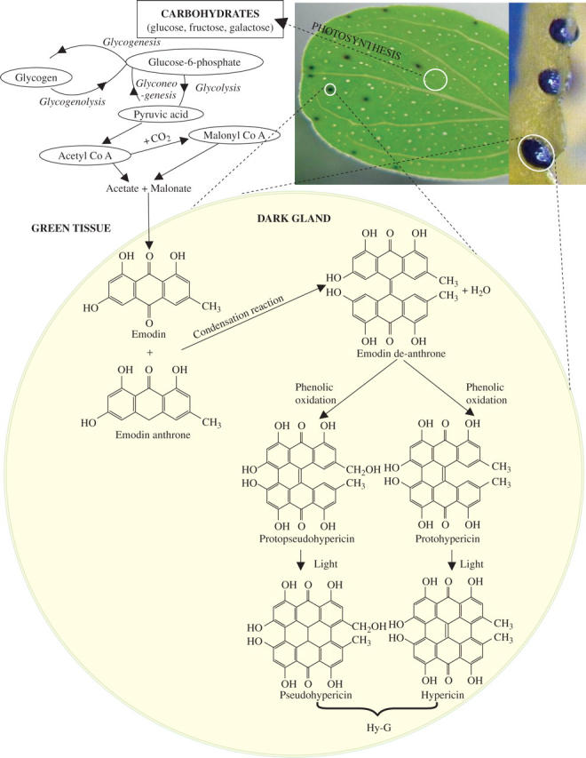 Fig. 15.