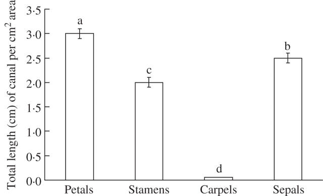 Fig. 11.