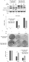 FIG 5