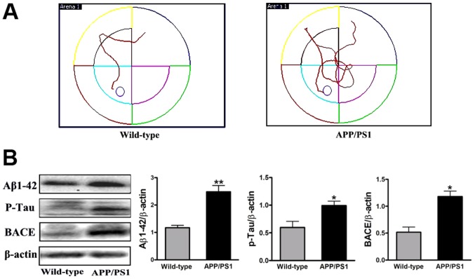 Figure 1.