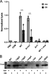 FIG 1