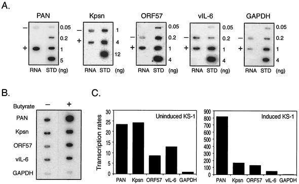 FIG. 2.