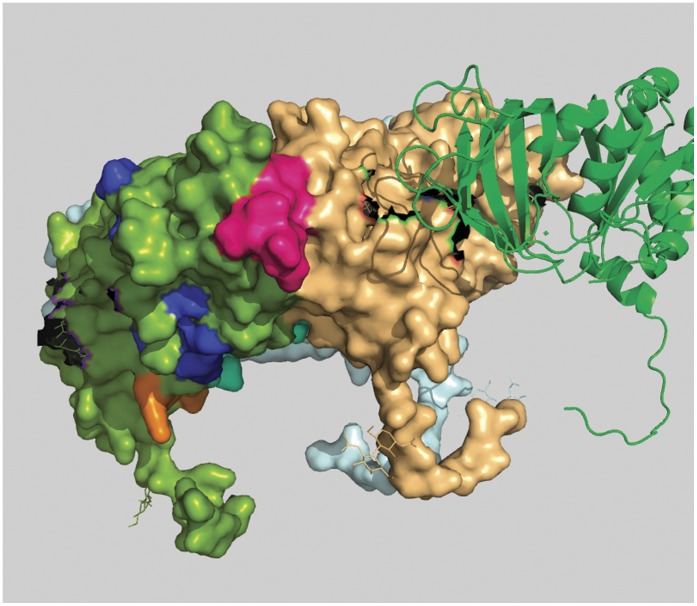 Figure 4