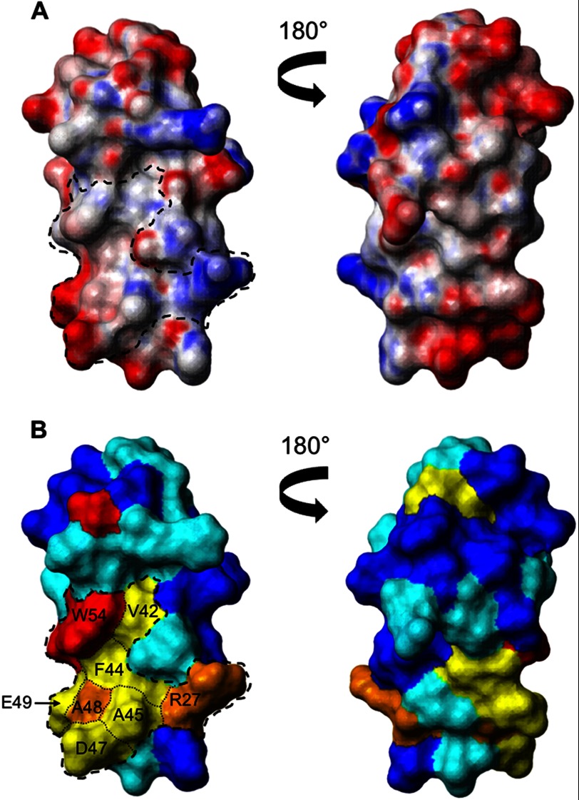 FIGURE 5.