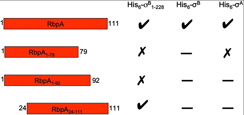 FIGURE 9.