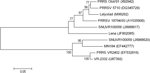 Figure 7