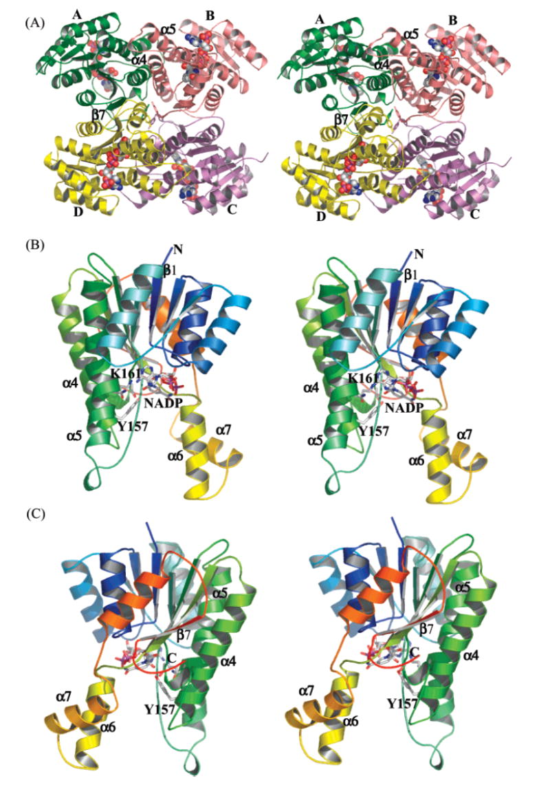 FIGURE 3