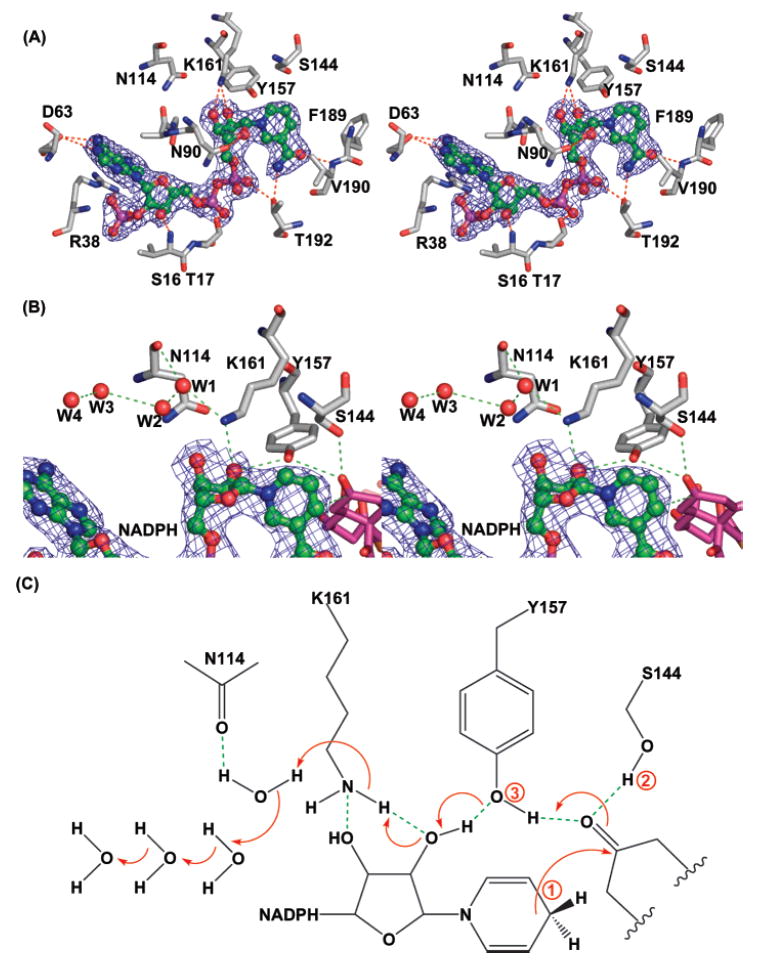 FIGURE 4