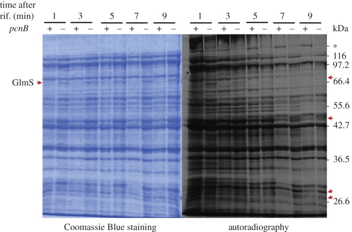 Figure 3.