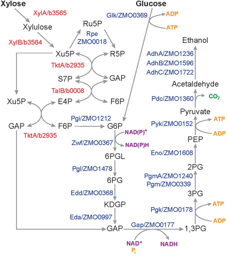 FIGURE 9