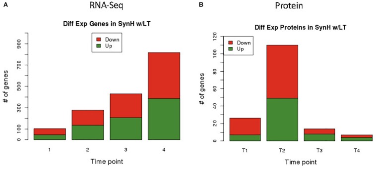 FIGURE 3