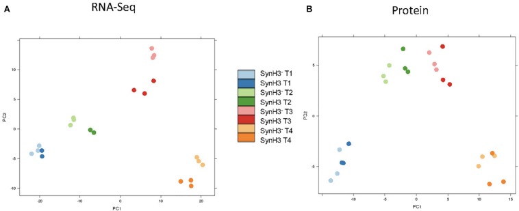 FIGURE 4