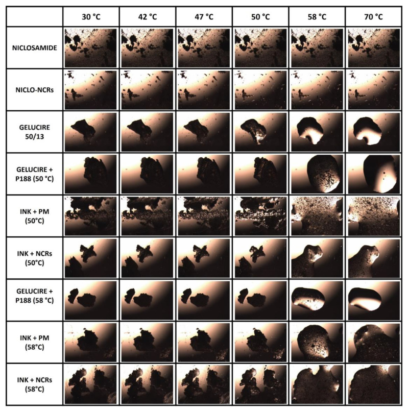 Figure 10