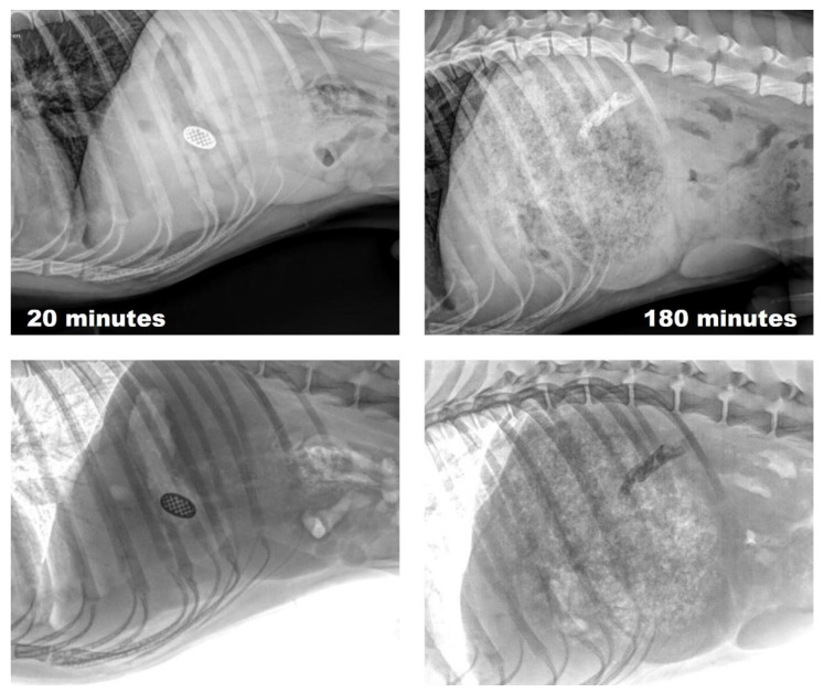 Figure 16