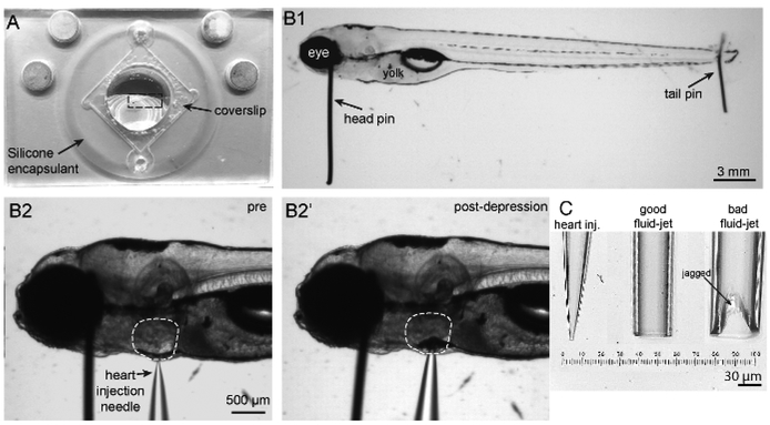 Figure 2: