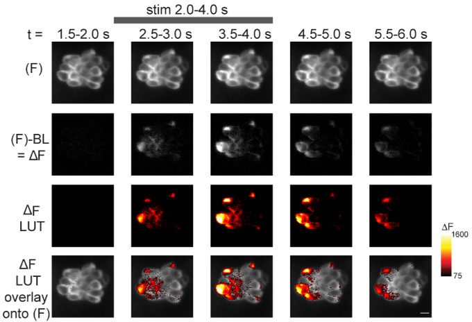 Figure 5: