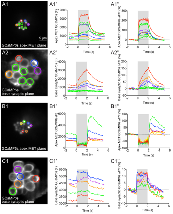 Figure 4: