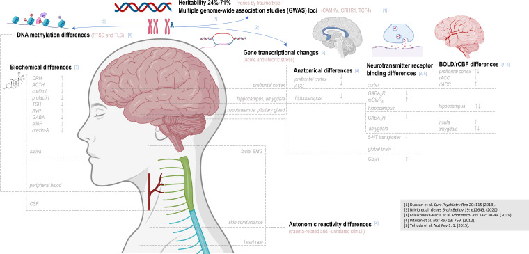 Figure 1.