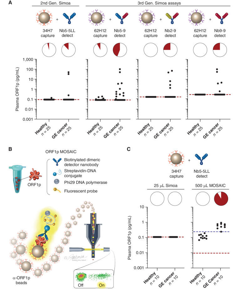 Figure 5. Improved detection of ORF1p with third-generation Simoa assays and with MOSAIC assays. A, Comparison of second- and third-generation Simoa assays (25 μL) in 25 mostly undetectable GE cancer and healthy control patients. B, Schematic of MOSAIC assays. Captured single-molecule “immunosandwiches” are formed analogously to Simoa assays. DNA-conjugated streptavidin enables rolling circle amplification to be carried out, generating a strong local fluorescent signal on the bead surface, and then “on” and “off” beads are quantified by flow cytometry, allowing efficient sampling of larger numbers of capture beads. This results in improved sensitivity and multiplexing capabilities. Illustration: Jennifer E. Fairman, CMI, FAMI. © 2023 Johns Hopkins University, AAM. C, 37H7::Nb5-5LL MOSAIC and Simoa assays in 10 previously undetectable GE cancer and healthy control patients. Red dashed lines indicate the analytical limit of detection for recombinant ORF1p in the buffer. Blue dashed line in C indicates plasma-specific background in large-volume MOSAIC assays, which is used to determine positivity in the pie charts.