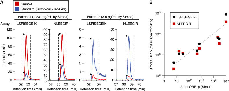 Figure 4. Targeted proteomics measurements of plasma ORF1p from large sample volumes. A, ORF1p measured from two gastric cancer patients using two quantotypic peptides (LSFISEGEIK and NLEECIR, red traces) with internal isotopically labeled standards (blue traces); a high-ORF1p cancer patient [1,231 pg/mL by Simoa, 3.5 mL plasma used for immunoprecipitation (IP)] and high-ORF1p healthy patient (3.0 pg/mL by Simoa, 5 mL plasma used for IP) are shown with 900 amol standard injected. B, Correlation between measured ORF1p by Simoa and targeted proteomics assays; r = 0.97 (Simoa vs. LSFISEGEIK) and r = 0.99 (Simoa vs. NLEECIR, t test), P < 0.0001 for both.