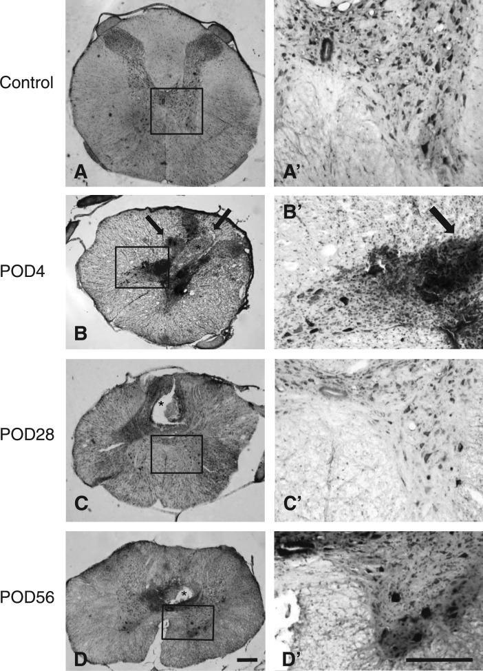 FIG. 4.