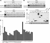 FIG 1