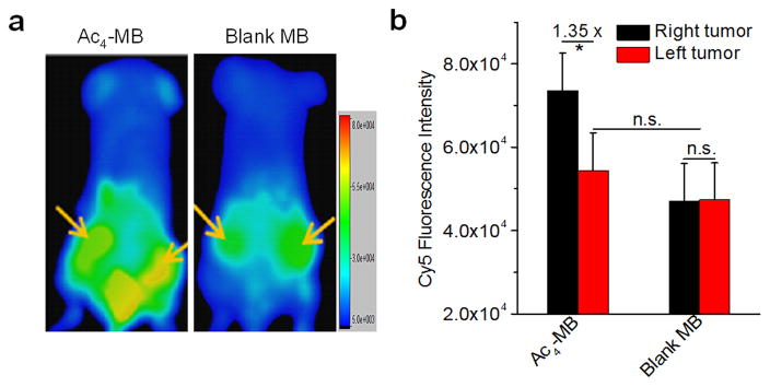 Fig.3