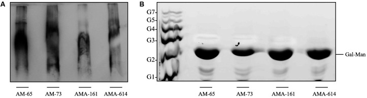 Fig. 1: