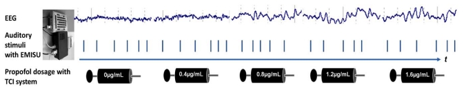 Fig. (1)