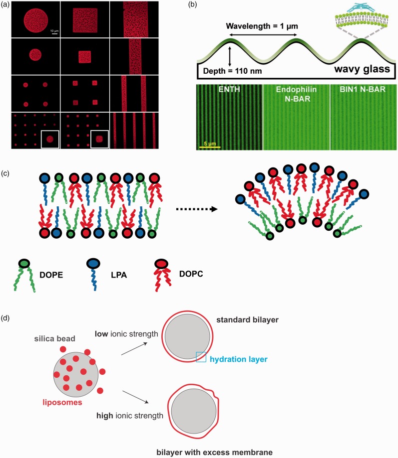 Figure 2.