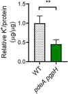FIG 5