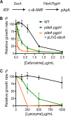 FIG 1
