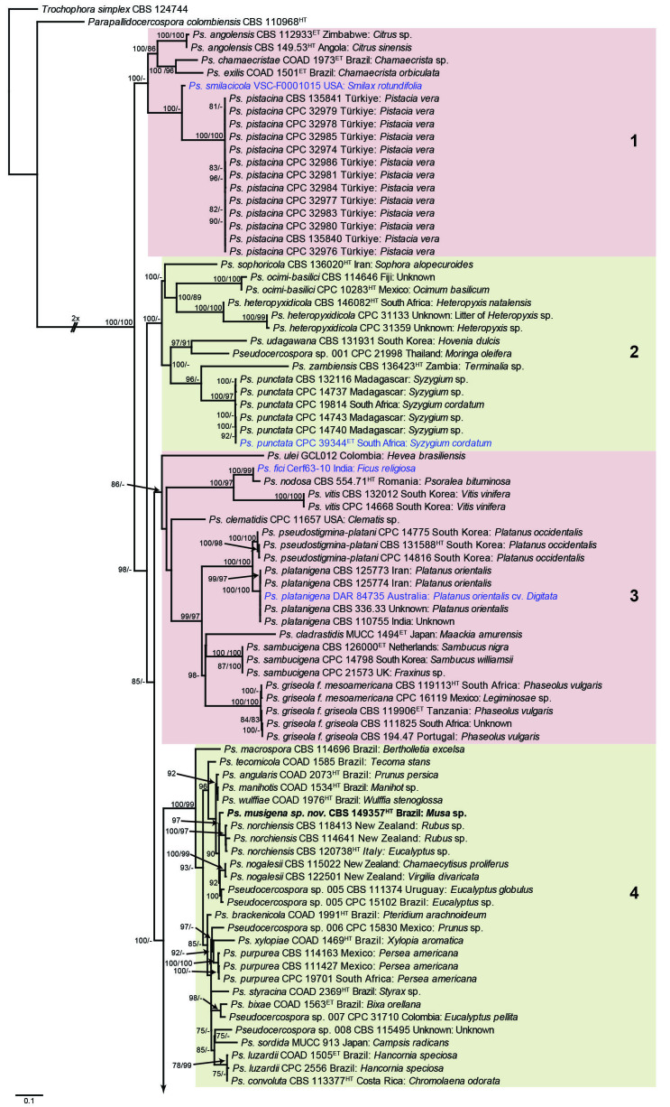 Fig. 1