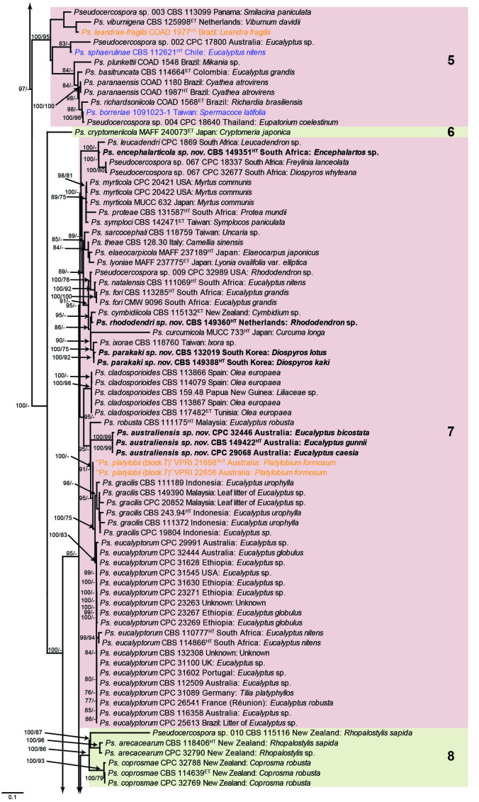 Fig. 1