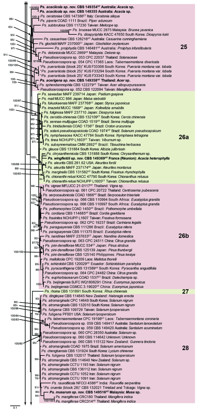 Fig. 1