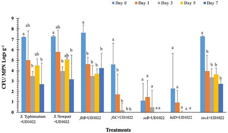 FIGURE 6