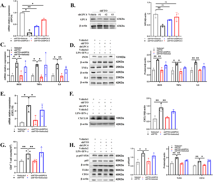 Figure 6