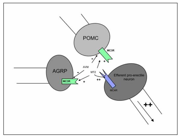 Fig. (2)