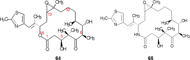 Fig. 17