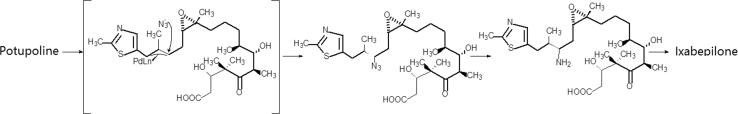 Scheme 5